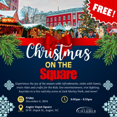 tlc exterior cleaning will have a booth at the christmas on the square in angier nc